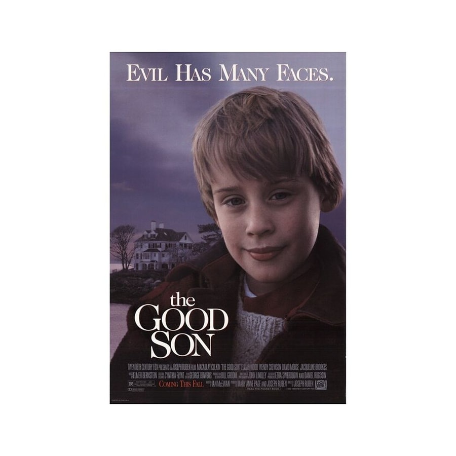 The good son. Добрый сынок 1993 Элайджа Вуд. Элайджа Вуд и Маколей Калкин. Добрый сынок.