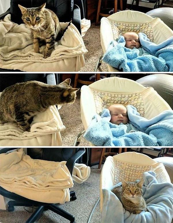 15. Bebeğin yerini kıskanan bir kedi görüyoruz 😂: