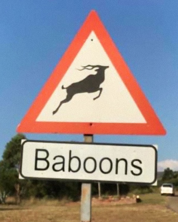 8. Надпись "баббуны"