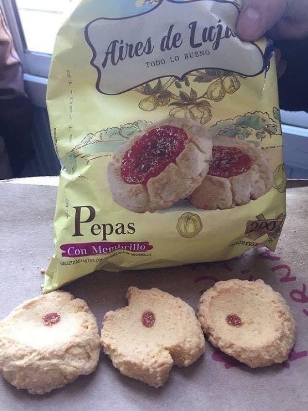 Keşke zahmet etmeseydin.