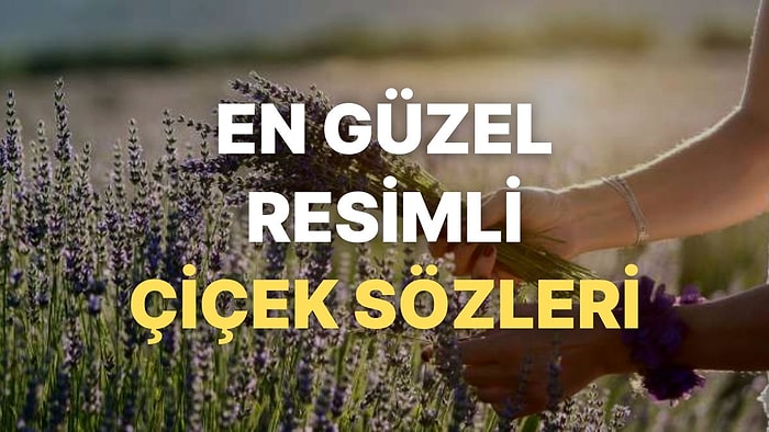 Çiçek İle İlgili Güzel Sözler: Sevgiliye, Arkadaşa, Aileye En Güzel Resimli Çiçek Sözleri