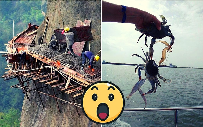 20 доказательств того, что наш мир полон чудес