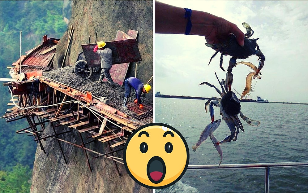 20 доказательств того, что наш мир полон чудес