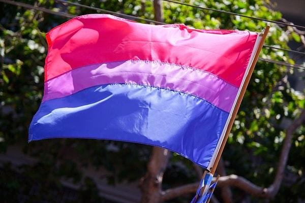 Biseksüel bayrağı, 1998 yılında Michael Page tarafından tasarlanmıştır.