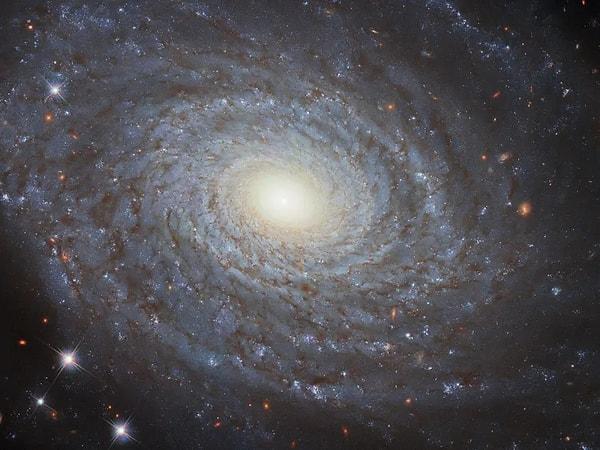 Aşağıdaki görüntü, Hubble'ın Geniş Alan Kamerası 3 (WFC3) tarafından fantastik ayrıntılarla yakalanan sarmal gökada NGC 691'i göstermekte.