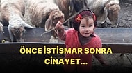 Minik Müslüme'nin Ölümüne İlişkin Bilirkişi Raporu Ortaya Çıktı!