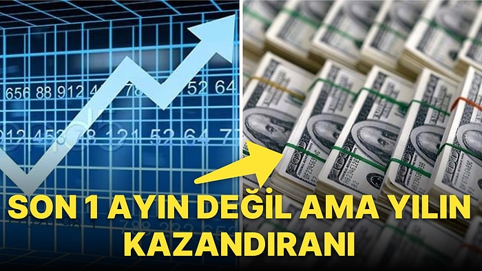 Aylık Getiride Ne Altın Ne Borsa! Son 1 Yılda En Çok Kazandıran Dolar Oldu