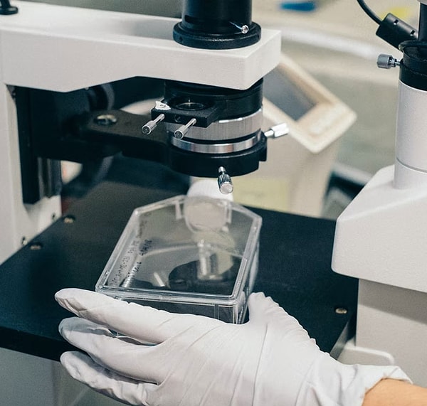 8. В технологии производства вакцин были достигнуты успехи, которые, вероятно, сократят время разработки с двадцати лет до 1-2 лет.