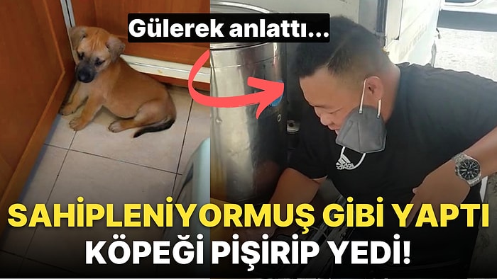 Sahiplendiği Yavru Köpeği Yiyip Gülerek "Başka Yok mu?" Diyen Adamın Kanımızı Donduran Açıklamaları