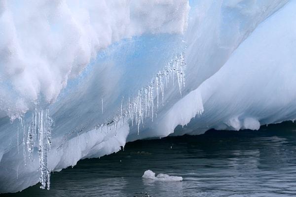 7. Antarktika Yarımadası Dünya'nın en hızlı ısınan bölgelerinden biridir.