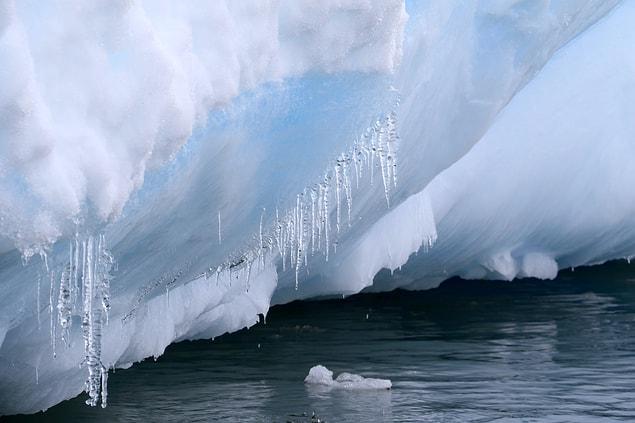 7. La péninsule antarctique est l'une des régions qui se réchauffent le plus rapidement sur terre.