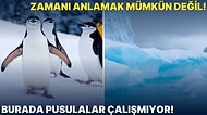 Antarktika Hakkında Daha Önce Duymadığınızı İddia Ettiğimiz Az Bilinen Enteresan Gerçekler