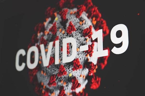 Henüz Covid-19 salgınını atlatamadığımız bu günlerde, her gün çıkan yeni bir virüs haberi tüm dünyayı endişeye sürüklüyor.