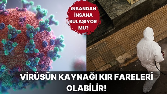 Dünya Nereye Gidiyor? Çin'den Öngörülemeyen Sonuçlara Sahip Olan Langya Virüsü Alarmı Geldi!
