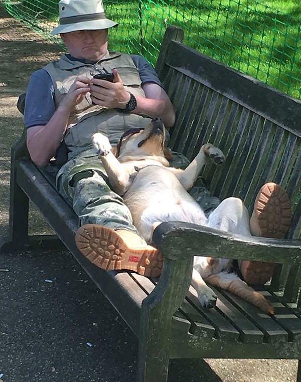 6. Bir adamla köpeğiyle parkta yatarken kameralara yakalanmış: