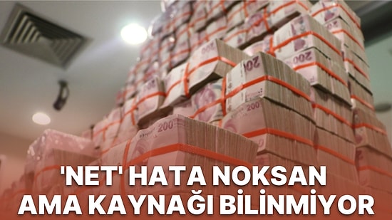 Uzmanların Dikkatini Çeken Veri: Cari Açıkta 'Net Hata Noksan' 17,5 Milyar Dolarla Rekor Kırdı!