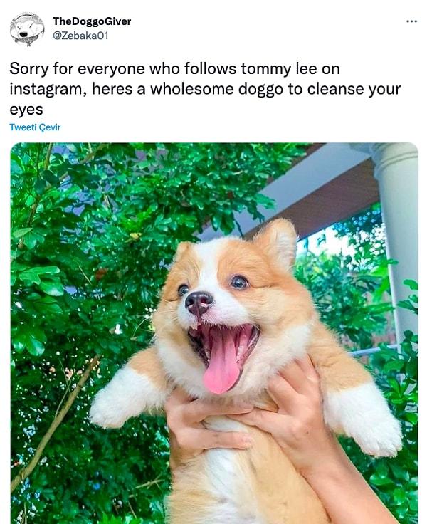 "Instagram'da Tommy Lee'yi takip eden herkes için üzgünüm. Gördüklerinizi unutabilmeniz adına işte sizler için mükemmel bir köpek fotoğrafı:"