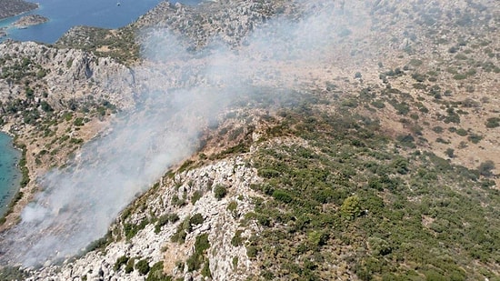 Yangın Çıkaran Çobana Gözaltı: Yılanları Kaçırmak İçin Makilikleri Yakmış