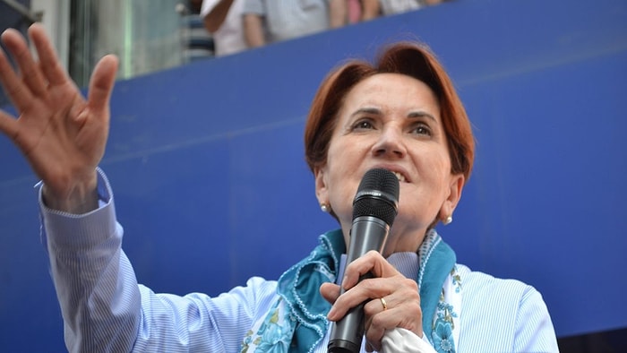 Meral Akşener'i Köpek Isırdı