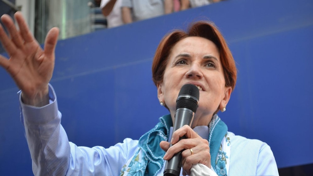 Meral Akşener'i Köpek Isırdı