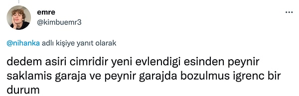 Peynir saklamak nedir?