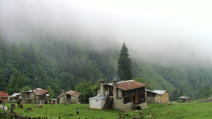 Mutlaka Görmen Gereken Karadeniz Yaylası Hangisi?