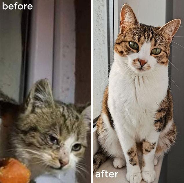 19. Avant et après l'adoption :