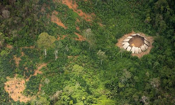 Brezilya Amazonlarında yaşayan bu kabileyle henüz hiçbir temas girişimi olmasa da sürekli olarak havadan fotoğraflanıyor ve gelişimleri izleniyor.