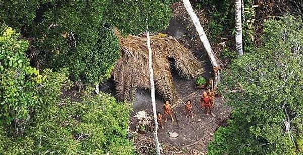 Moxihatetema kabilesi halihazırda Brezilya devletinin koruması altında olan bir yağmur ormanında yer alsa da yaklaşık 5 binden fazla madenci yasadışı yollarla buraya giriyor.