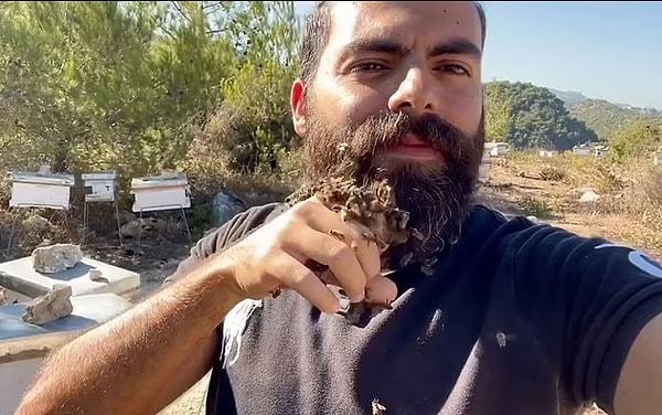 Arıları avuçlayarak sakalına yerleştirdiği görüntüler internette viral oldu. Kendisini daha önce hiç arı sokmamış!