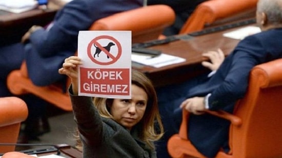 Köpek Giremez Afişi Göstermişti: Tartışılan Eski Milletvekili Süleyman Soylu’ya Danışman Oldu