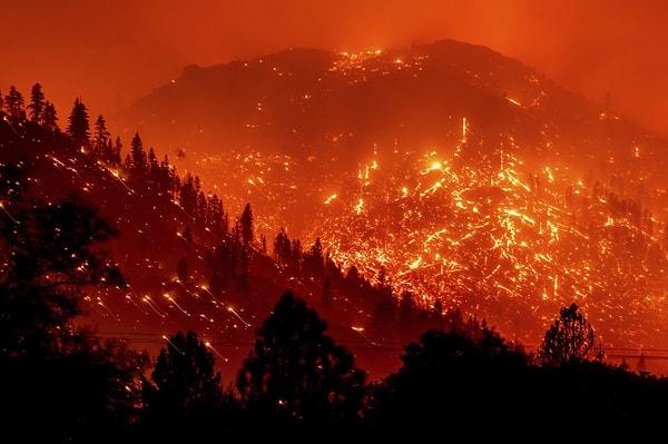 14. Kaliforniya orman yangınları, Rothschild'ler tarafından kontrol edilen uzay tabanlı lazer ışınları tarafından kasıtlı olarak çıkarıldı.