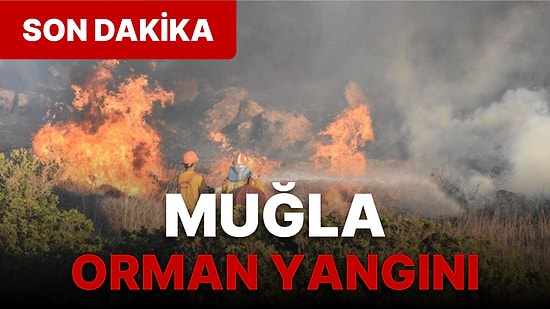 Muğla'da Korkutan Orman Yangını! Bölgede Çalışmalar Sürüyor