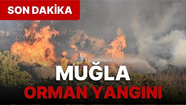 Muğla'da Korkutan Orman Yangını! Bölgede Çalışmalar Sürüyor