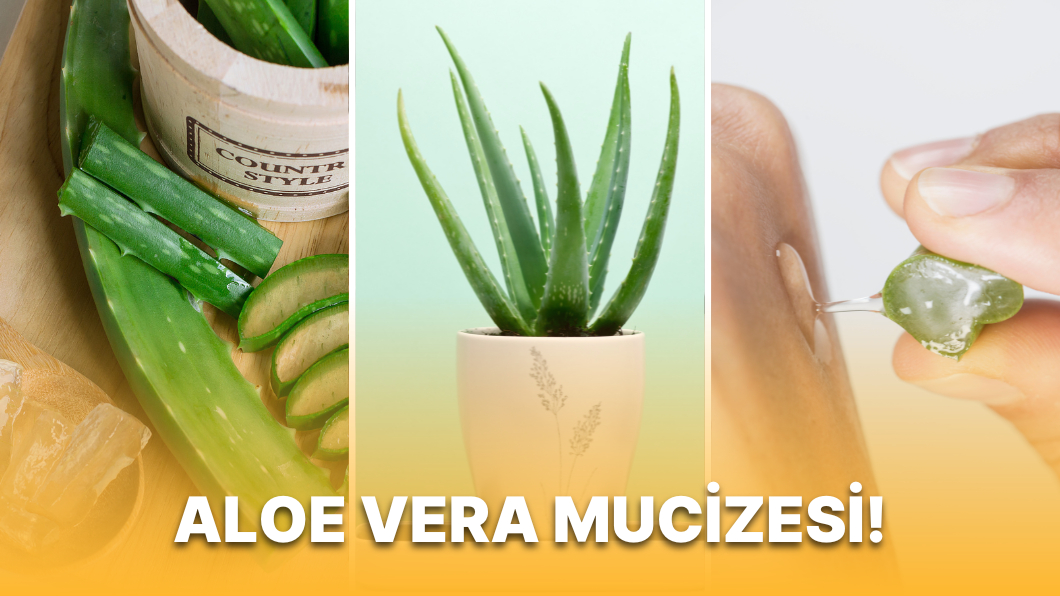 Aloe Vera Sabununun Faydalar - Onedio