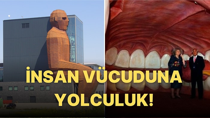 En Garip Müze! Giren Herkesin Kendisini İnsan Vücudunun İçinde Hissedip Dolaşacağı Corpus Müzesi