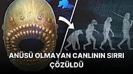 İnsanlığın Atası Olduğu Düşünülen İlginç Canlının Aslında Bambaşka Bir Yaratık Olduğu Ortaya Çıktı!