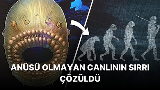 İnsanlığın Atası Olduğu Düşünülen İlginç Canlının Aslında Bambaşka Bir Yaratık Olduğu Ortaya Çıktı!