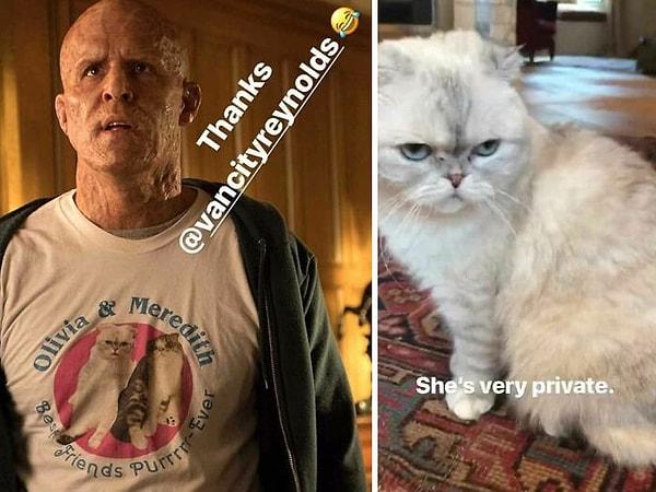 18. 'Deadpool 2' filminde Wade karakteri Olivia ve Meredith adlı kedilerin olduğu bir tişört giymiştir. Bu kediler Taylor Swift'e aittir ve fotoğraflarını kullanmak Swift'ten bizzat izin almışlardır.