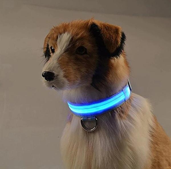 25. Karanlıkta yürürken kolaylık sağlayan ayarlanabilir ışıklı köpek tasması...