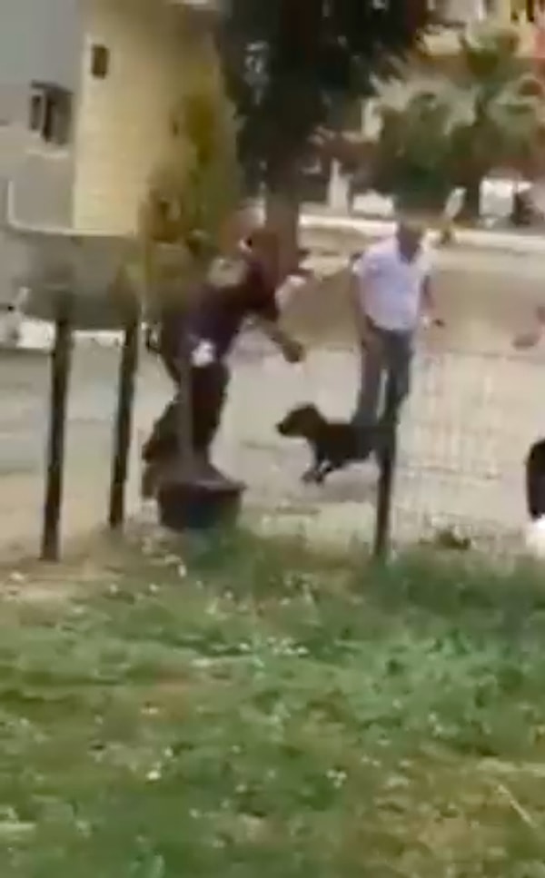 Çevre sakinlerinin de kalıştığı olayda yaralanan polis memuru, köpeğin diğer polise ve vatandaşlara hamle yapmasının ardından köpeğe ateş etmek zorunda kaldı.
