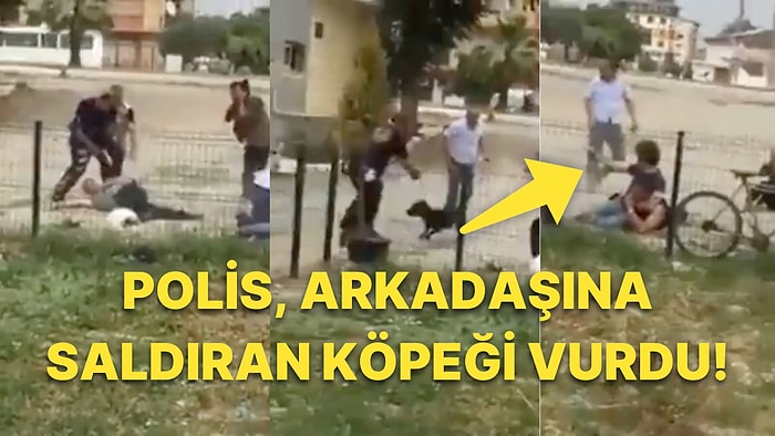 Uyuşturucu Satıcısı Kendisini Kovalayan Polislerin Üstüne Köpek Saldı, Polis Köpeği Vurmak Zorunda Kaldı!