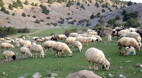 "Geri dönüşü olmayan yola gireriz"