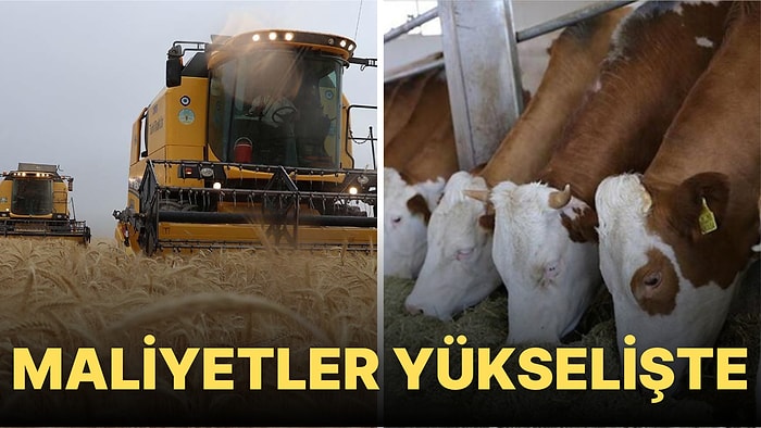 Tarımda Girdi Maliyetler Yükseliyor! Bakanlık Kararı Uzmanları İkiye Böldü: Et Fiyatları Ne Olacak?