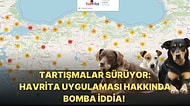 Başıboş Köpek Haritası Gündemden Düşmüyor: Havrita Uygulaması Nedir, Ne İşe Yarıyor?