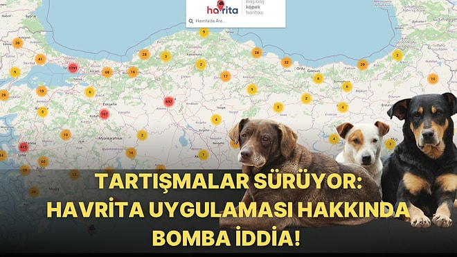 Başıboş Köpek Haritası Gündemden Düşmüyor: Havrita Uygulaması Nedir, Ne İşe Yarıyor?