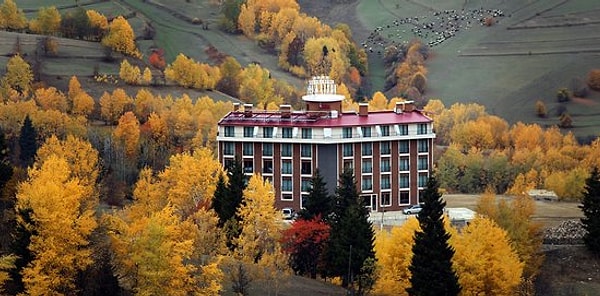 Black Forest Hotel