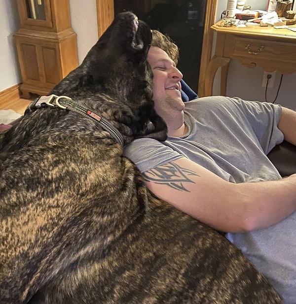 9. "Erkek kardeşimin köpeği 170 kilo ve kendisi böyle oturmayı çok seviyor."😂