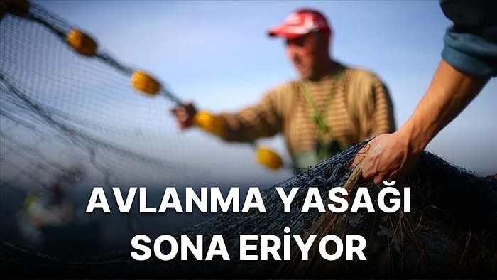 Balık Sezonu Açılıyor: 2022 Av Yasağı Ne Zaman Bitiyor?