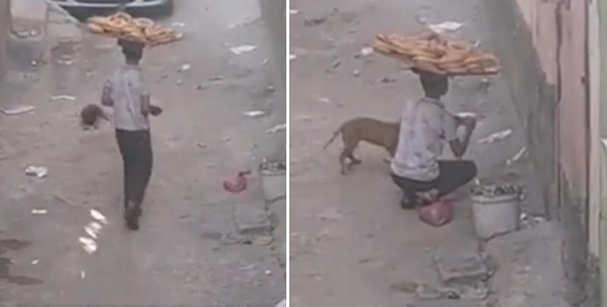 Simit Satan Çocuğun Tezgahındaki Simitleri Bölerek Sokak Arasındaki ...